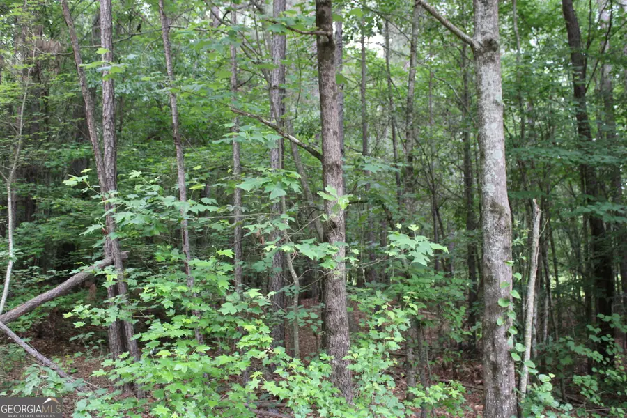 4 Garnett Ward Road, Hull, GA 30646 - #3