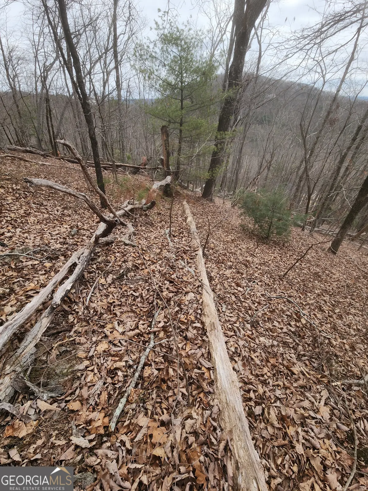 LOT #14 Little Eagle Mtn Mountain, Clarkesville, GA 30523 - #1