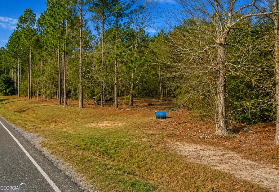 6965 Jim Pruett Road, Eastman, GA 31023 - #2
