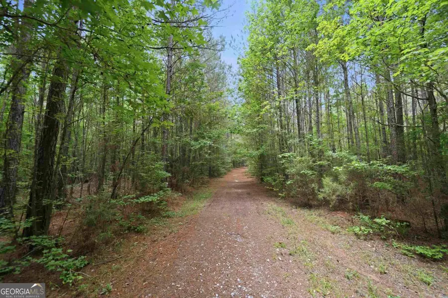 0 Pear Orchard Road, Greensboro, GA 30642 - #2