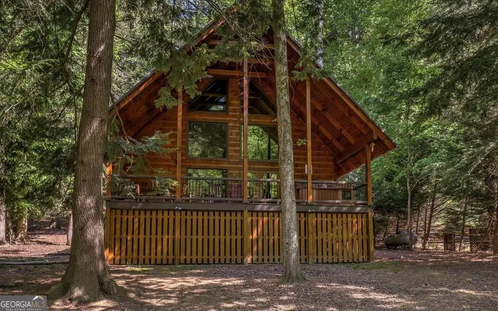 343 Muller Lane, Ellijay, GA 30540 - #1