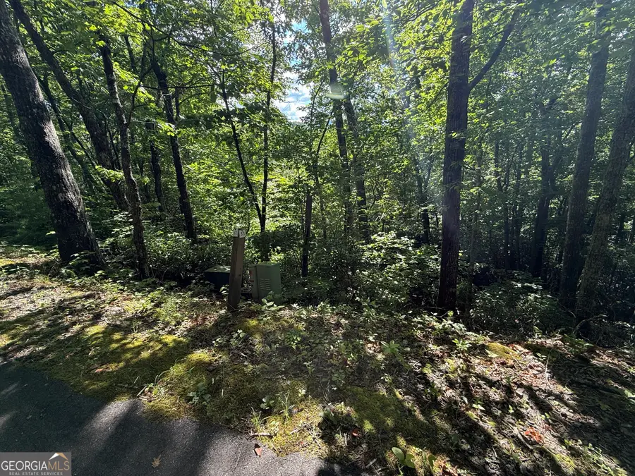 LOT 33 Fodder Creek Mill Drive, Hiawassee, GA 30546 - #2