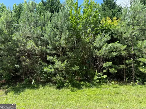 1425 River Road, Warm Springs, GA 31830