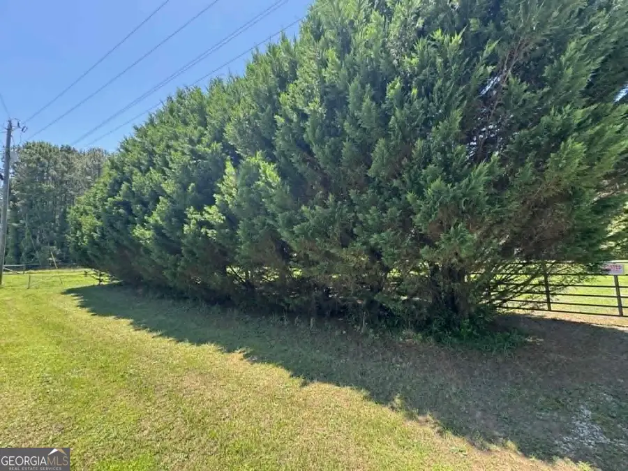 776 Childers Road, Colbert, GA 30628 - #3