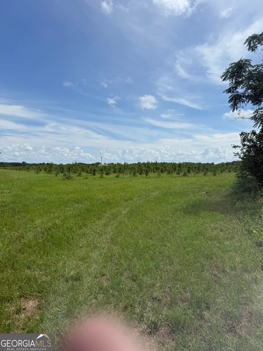 4276 County Line Rd, Lumpkin, GA 31815 - #2