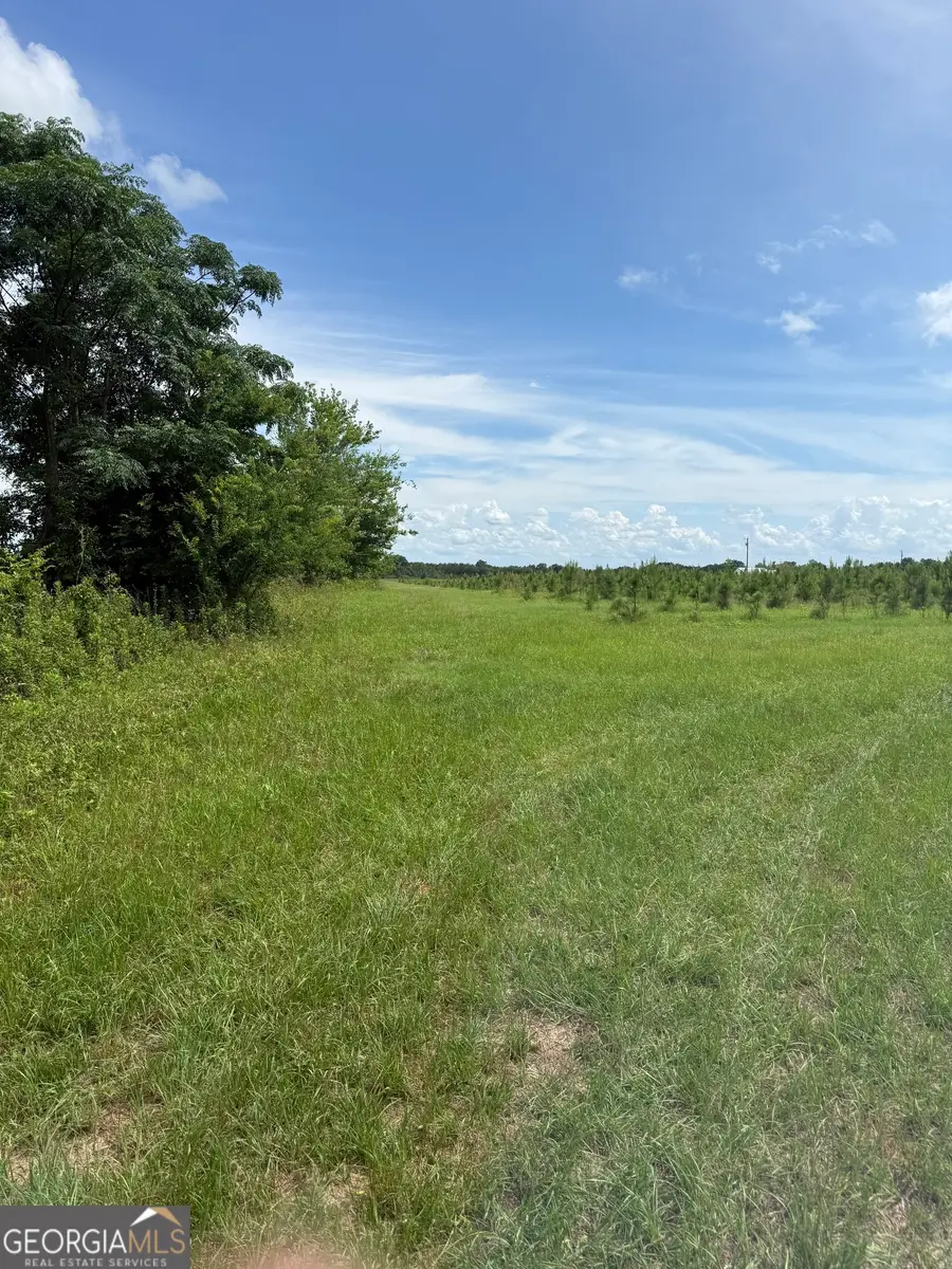 4276 County Line Rd, Lumpkin, GA 31815 - #3