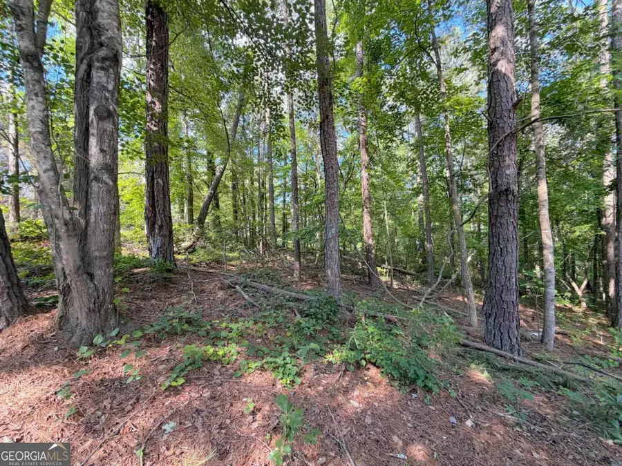 1306 Southgate Drive, Villa Rica, GA 30180 - #3