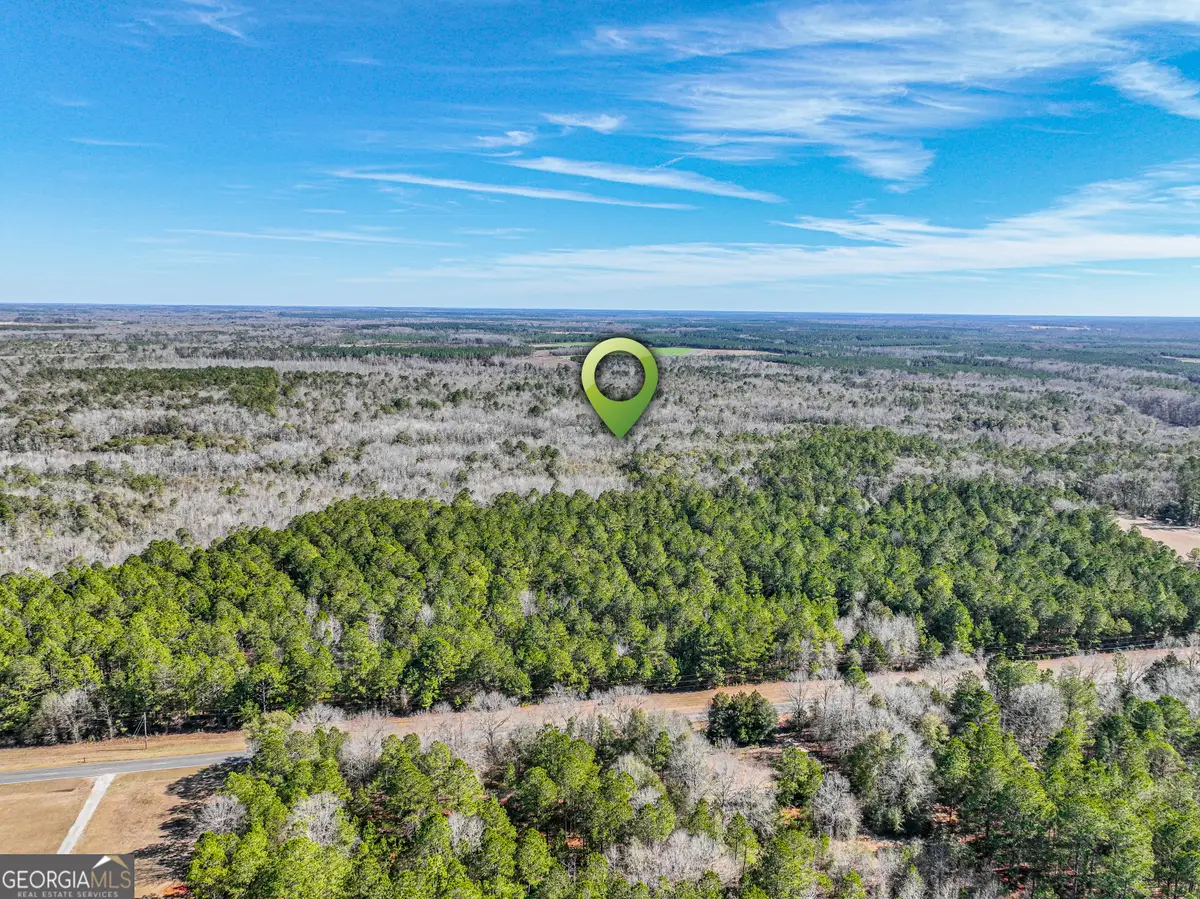 0 Buckeye Road, Tennille, GA 31089 - #1