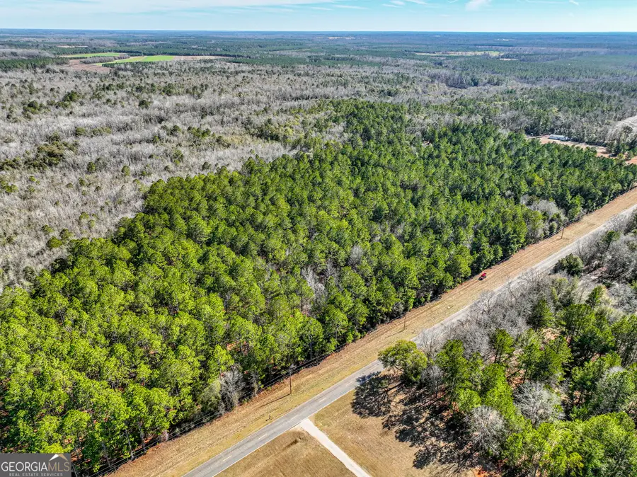 0 Buckeye Road, Tennille, GA 31089 - #2