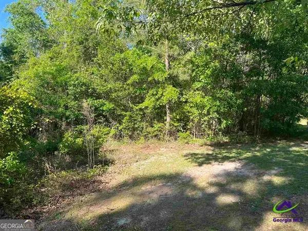 0 Michael Court, Bonaire, GA 31005