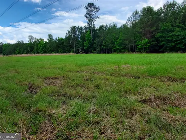 1 Roy Lawrence Road, Sparta, GA 31087
