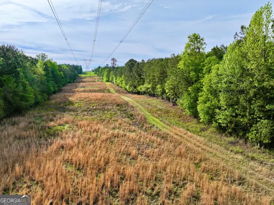 1 Roy Lawrence Road, Sparta, GA 31087 - #3