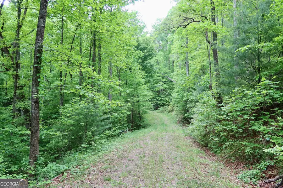 0 Bluff Mtn, Dillard, GA 30537 - #2