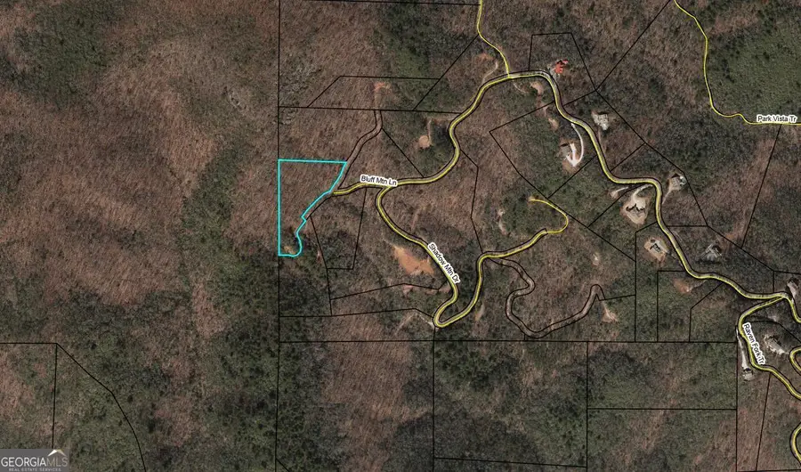0 Bluff Mtn, Dillard, GA 30537 - #3