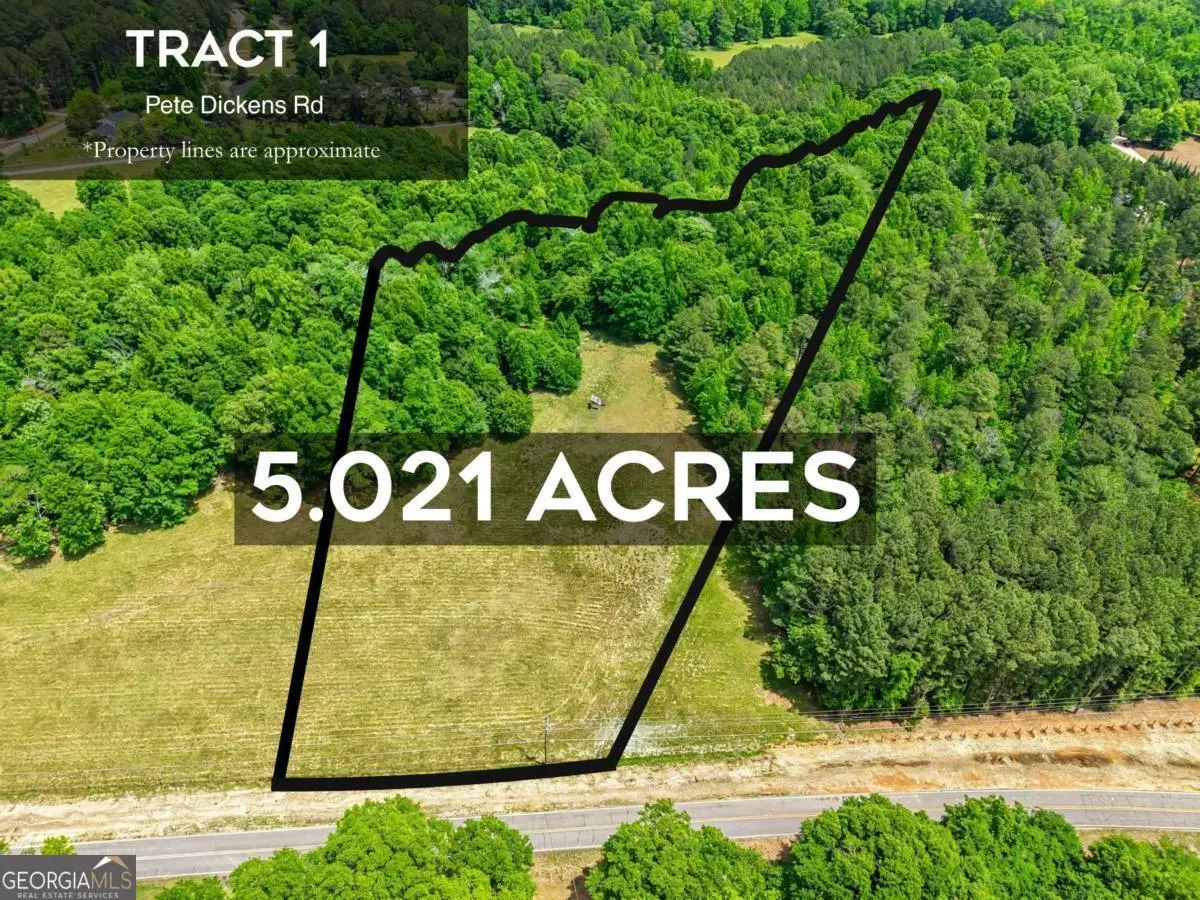 TRACT 1 Mcnutt Creek Road, Bogart, GA 30622 - #1