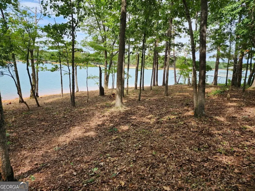 LOT 1 Pointe Sidney Drive, Hartwell, GA 30643 - #1
