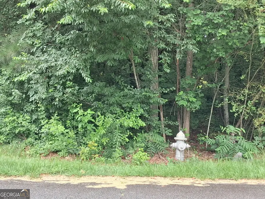 0 N Pleasant Oak Drive, Temple, GA 30179 - #2