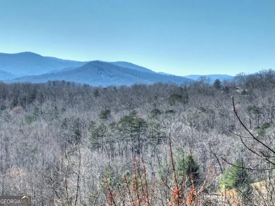 195 Trina Lane #135, Blue Ridge, GA 30513 - #2