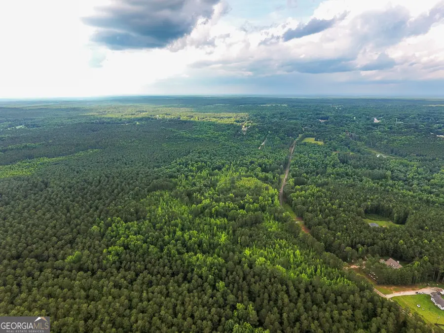 0 John Trammell Road, Luthersville, GA 30251 - #2