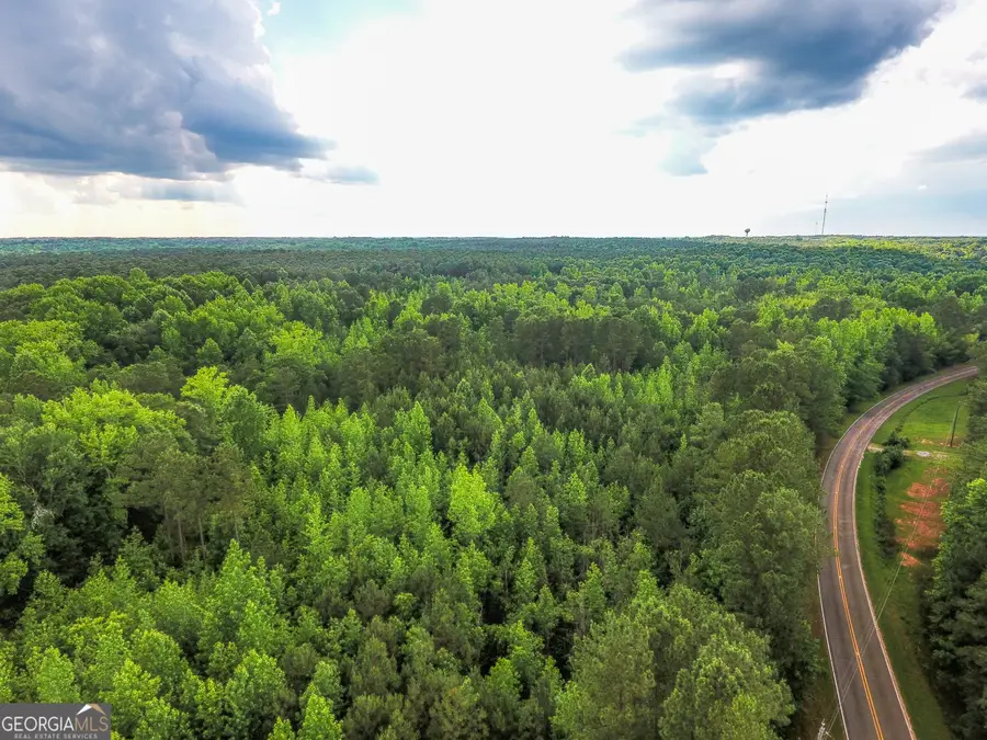 0 John Trammell Road, Luthersville, GA 30251 - #3