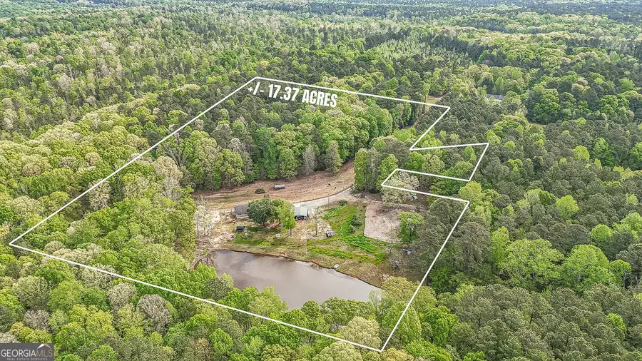 404 Tranquil Cemetary Road, Senoia, GA 30276 - #3