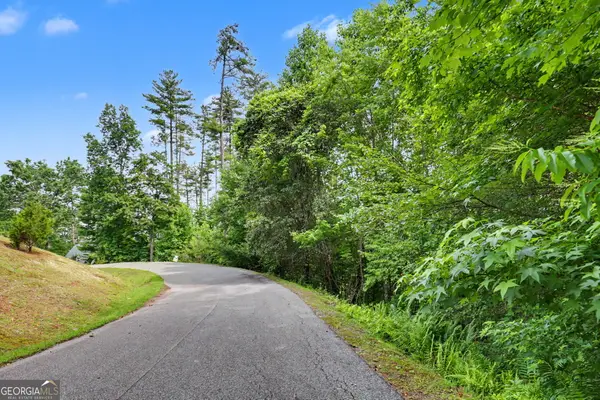 56 Walker Ridge Way, Mineral Bluff, GA 30559