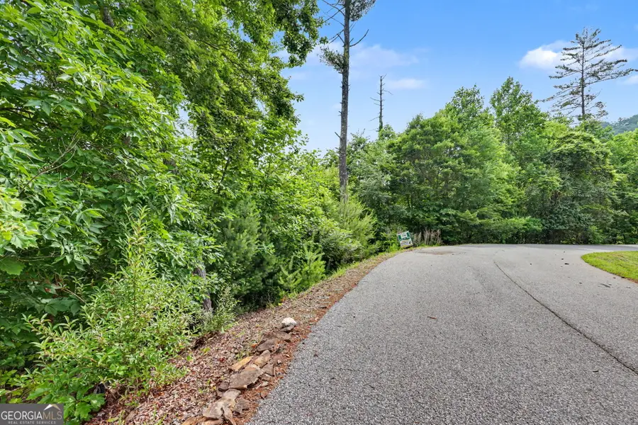 56 Walker Ridge Way, Mineral Bluff, GA 30559 - #2