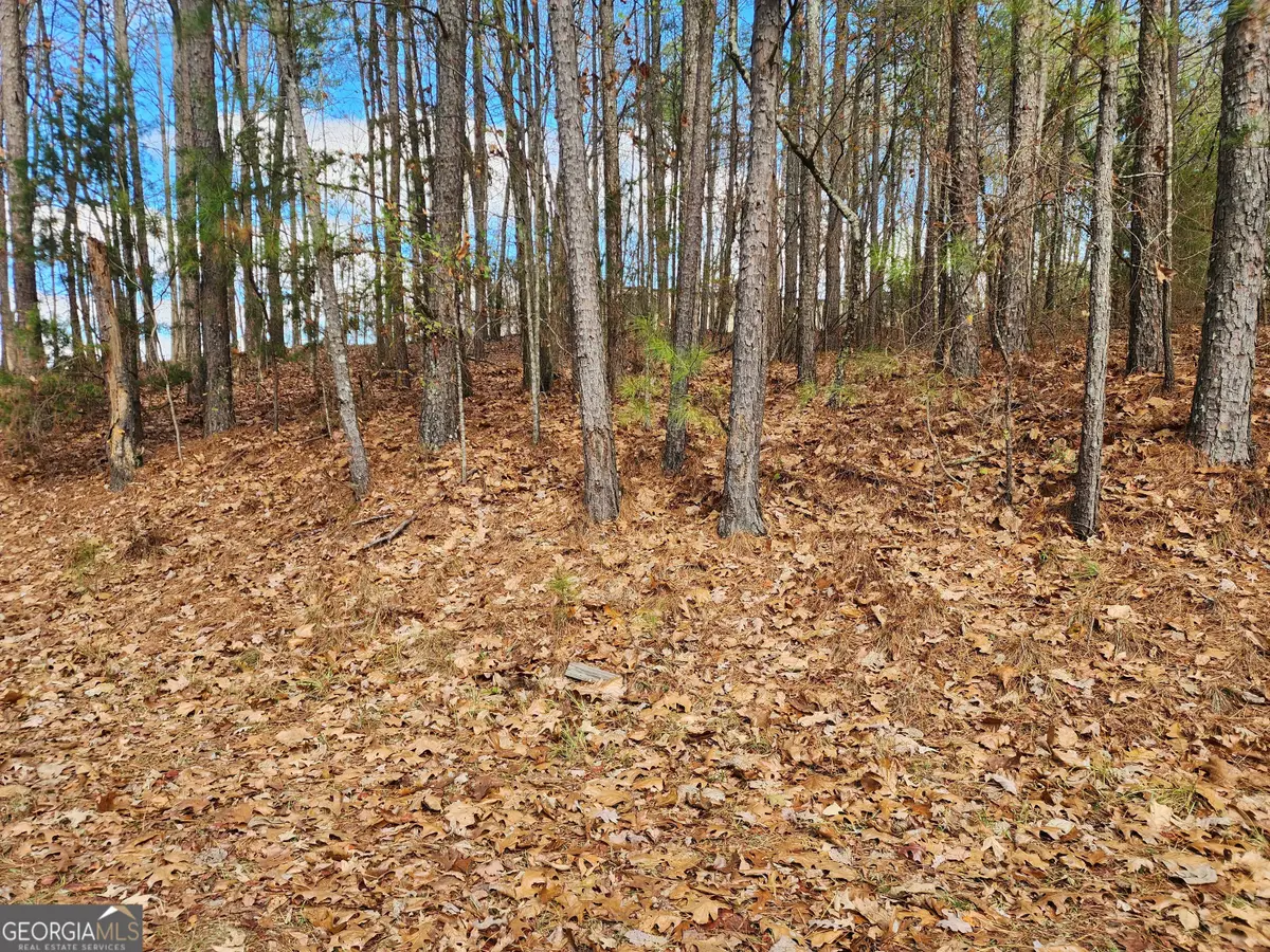 91 Cannon Ridge View, Dallas, GA 30132 - #1