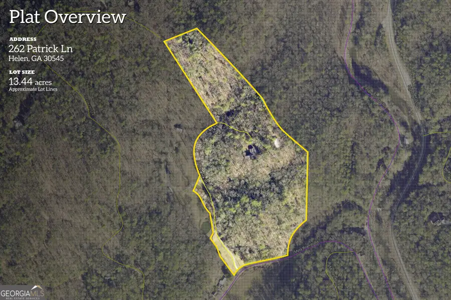 262 Patrick Ln, Helen, GA 30545 - #2