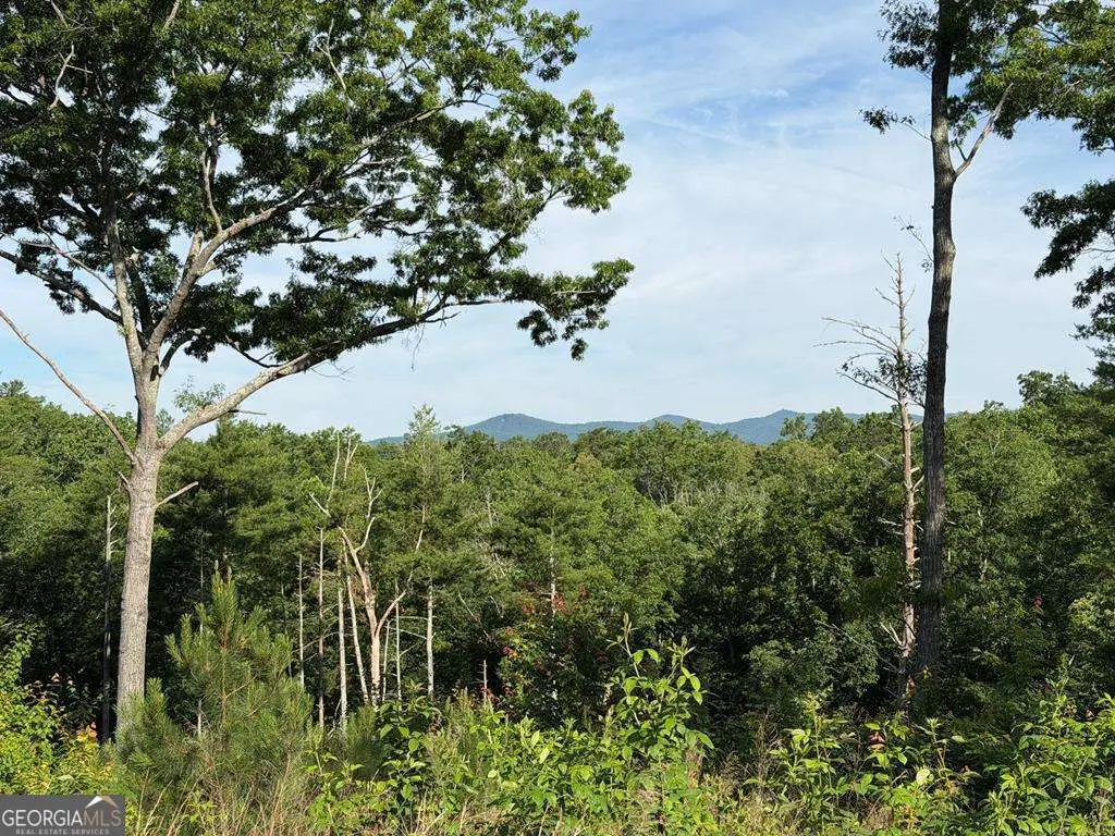 LT 304 Greenwood Court #304, Ellijay, GA 30540 - #1