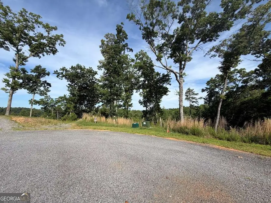 LT 304 Greenwood Court #304, Ellijay, GA 30540 - #2