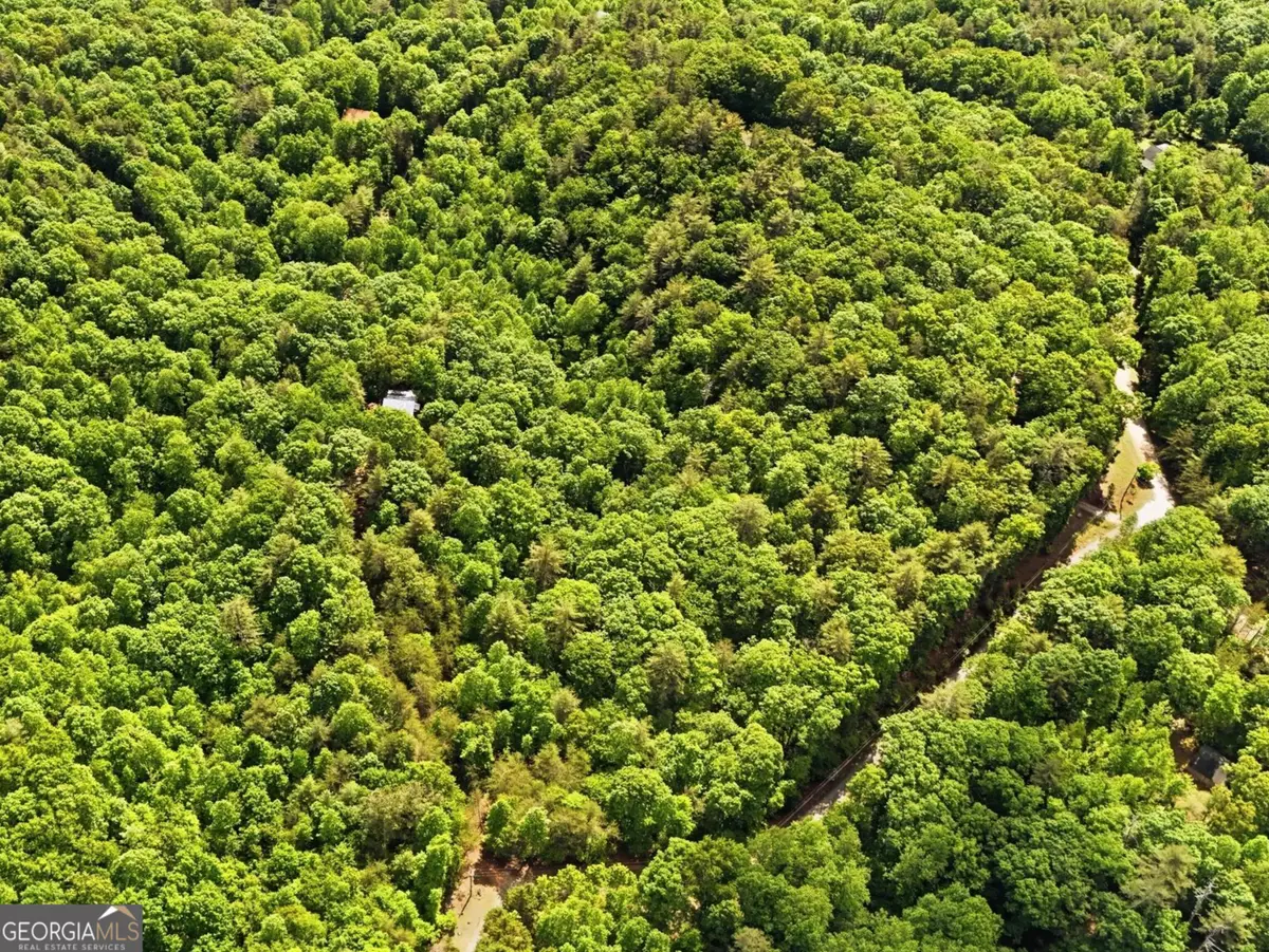 0 Hamik Hollow Road, Cleveland, GA 30528 - #1
