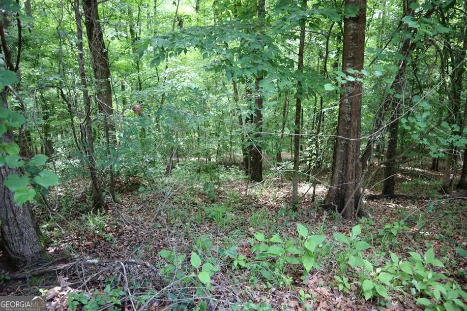 LT.102 Village Court Sw, Sparta, GA 31087 - #1