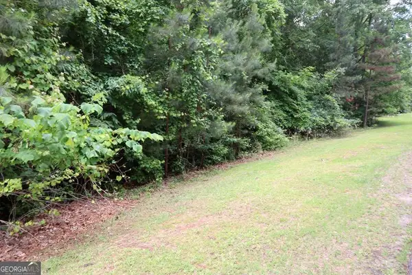 LT.103 Village Court Sw, Sparta, GA 31087