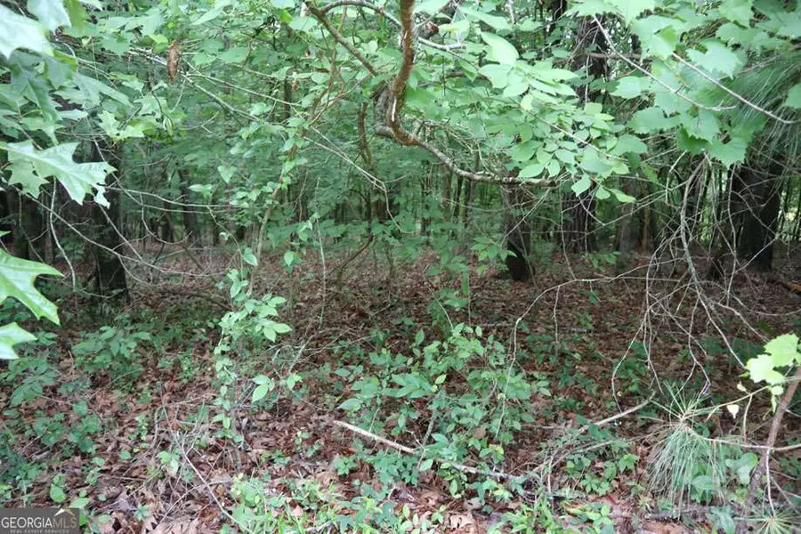 LT.103 Village Court Sw, Sparta, GA 31087 - #3