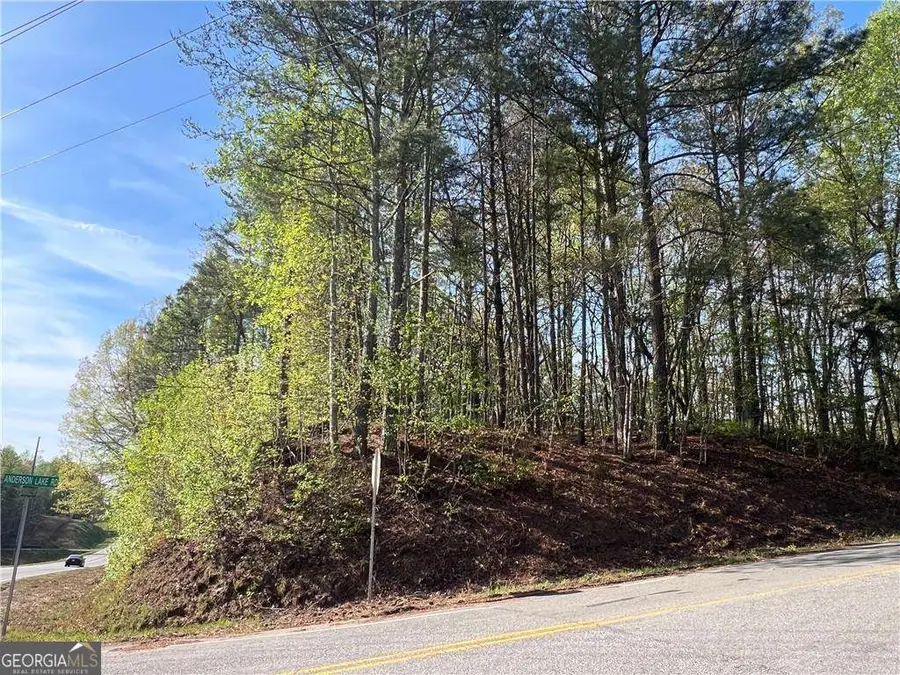 6425 Anderson Lake Road, Dawsonville, GA 30534 - #2