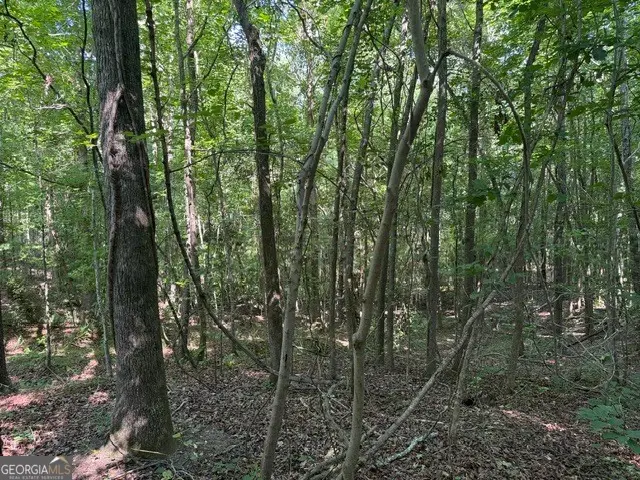 0 Wildwood Lane, Thomson, GA 30824 - #2