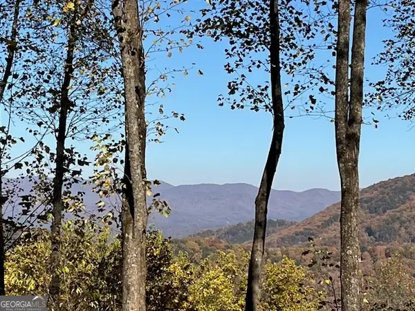 1189 Walnut Ridge, Ellijay, GA 30536