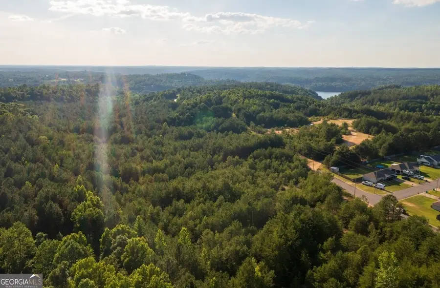 0 Gilmore Mine Road #TRACT A/B, Cottondale, AL 35453 - #3