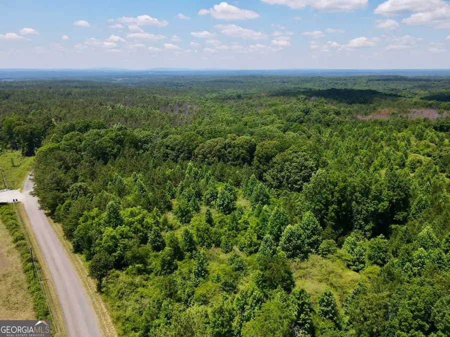 451 Two Rock Road, Waco, GA 30182 - #2