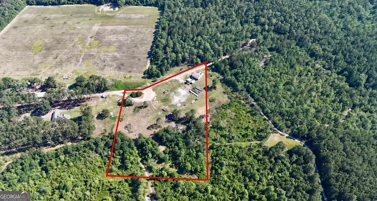 1087 Green Morgan School Rd, Clyo, GA 31303 - #1