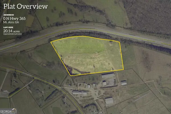 20 ACRES Sthighway 365, Mount Airy, GA 30563