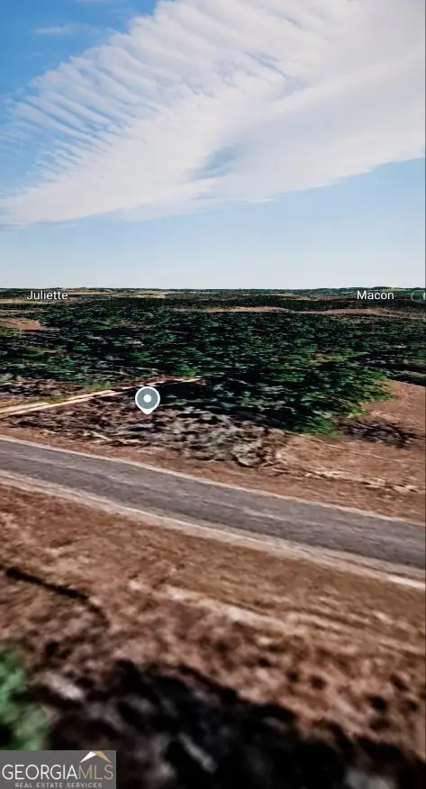 LOT 48 Pope Road, Roberta, GA 31078 - #1