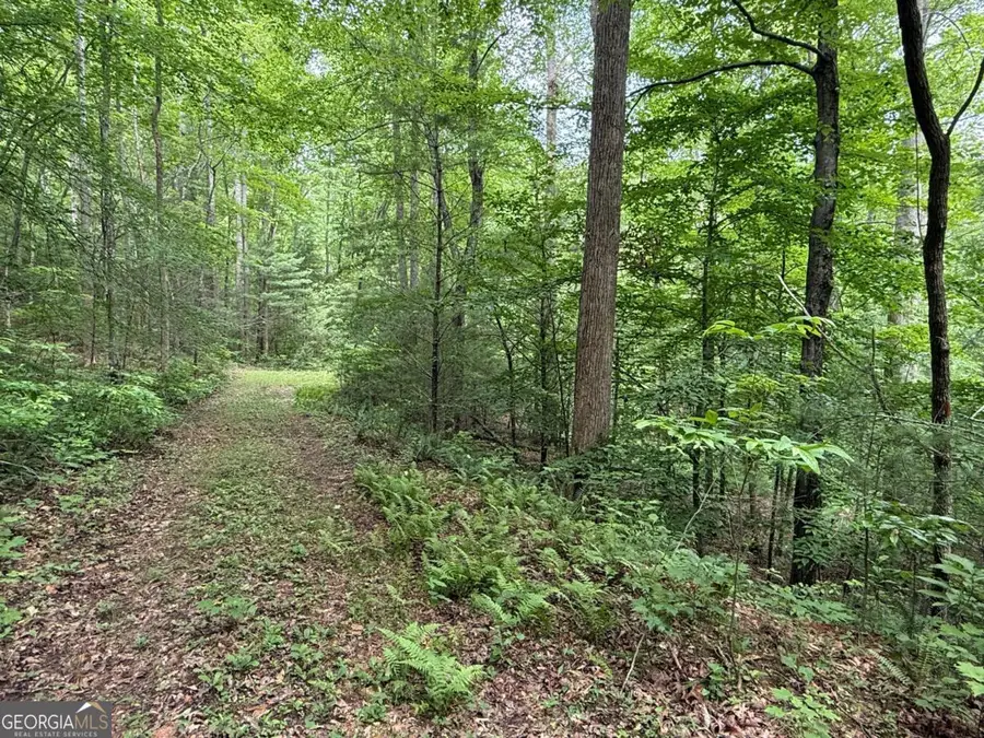 1 AC Spiva Cove Circle, Blairsville, GA 30512 - #3