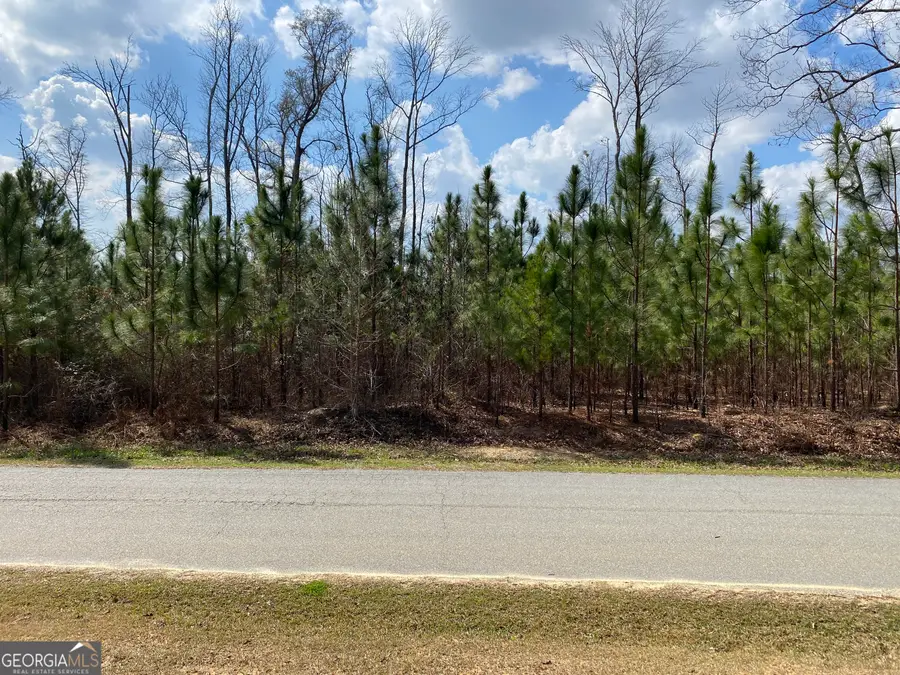 0 Baker Road, Waverly Hall, GA 31831 - #3