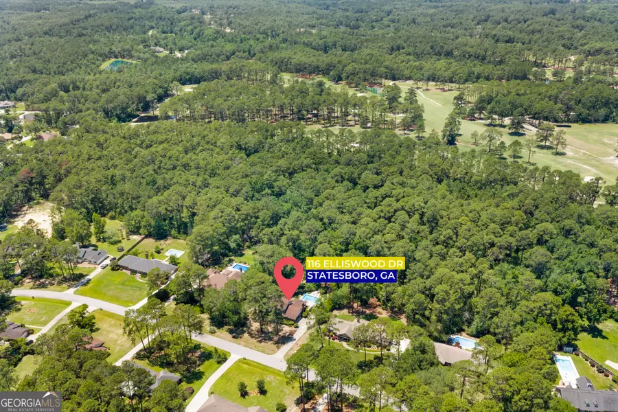 116 Elliswood Drive, Statesboro, GA 30458 - #3