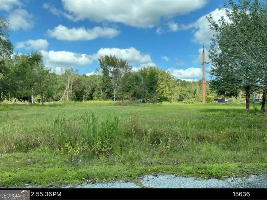 1890 Harrietts Bluff Road, Woodbine, GA 31569 - #2