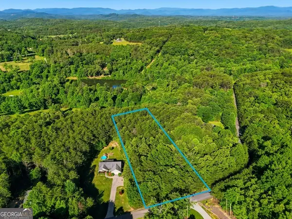 0 Autumn Ridge Drive, Mineral Bluff, GA 30559