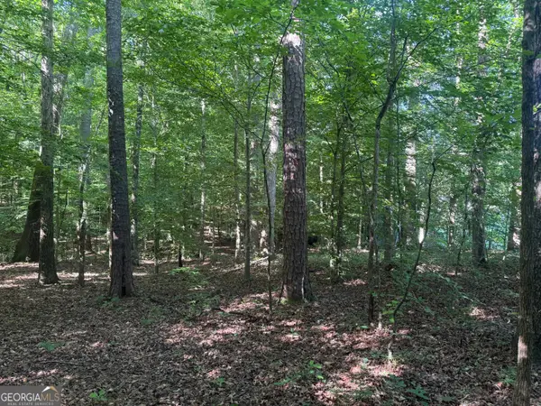 435 N 27 Highway, Roopville, GA 30170