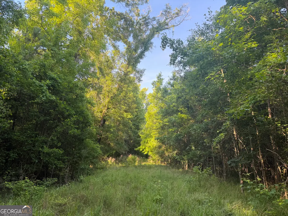 0 Branan Road, Toomsboro, GA 31090 - #1